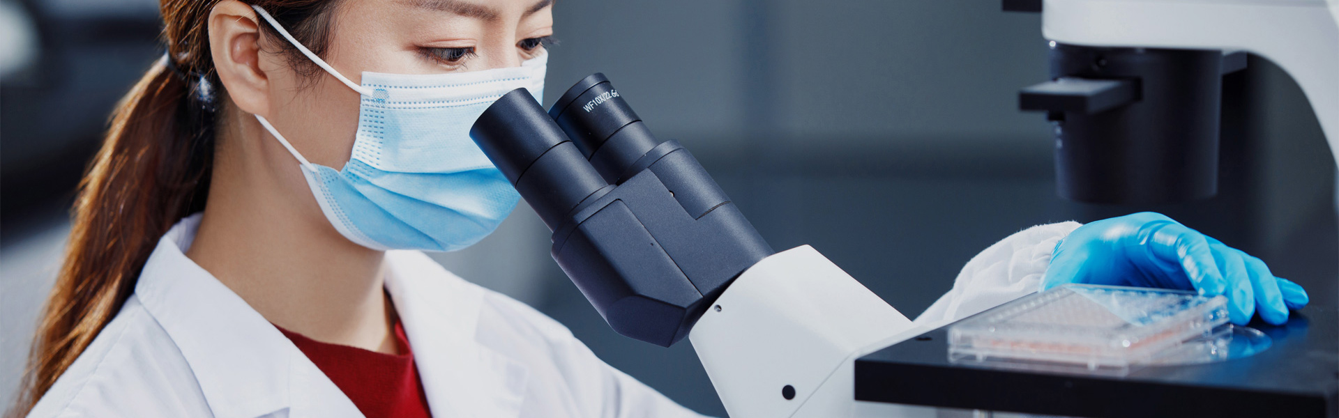 科学委员会